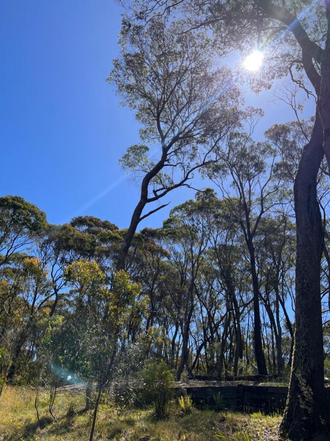 Katoomba Hideaway - Free Wifi, Netflix, Disney Plus Экстерьер фото